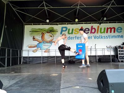 unsere Kickboxer in Aktion beim Pusteblume-Fest (3)