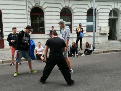 unsere Kickboxer in Aktion beim Sudenburger Straßenfest (1)